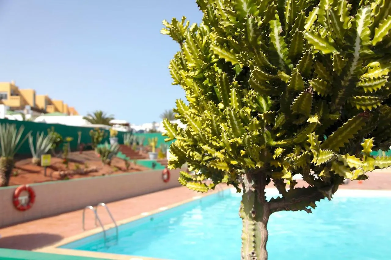 Apartamento Villa Artenara Caleta De Fuste Antigua  España